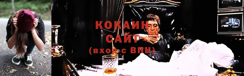 COCAIN Fish Scale  Усть-Лабинск 